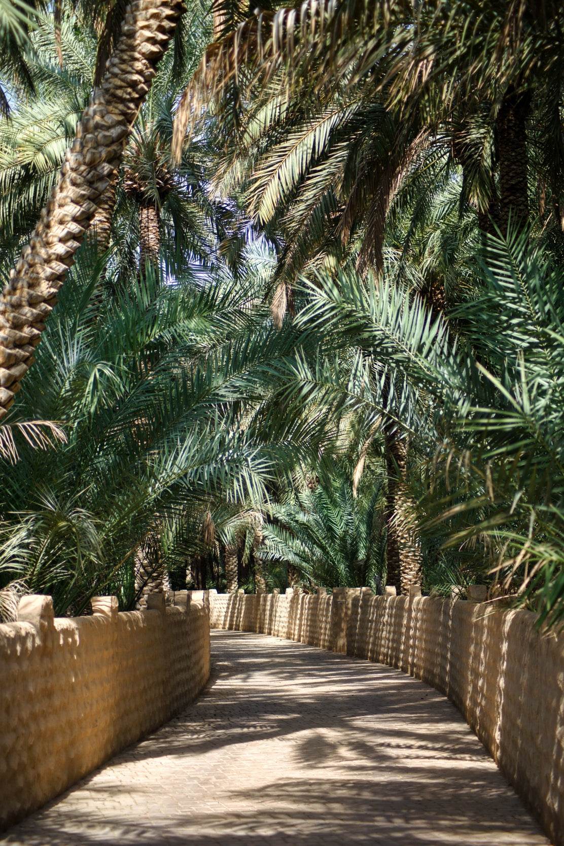 A Path Through the Greens Wall Art - beink online art store