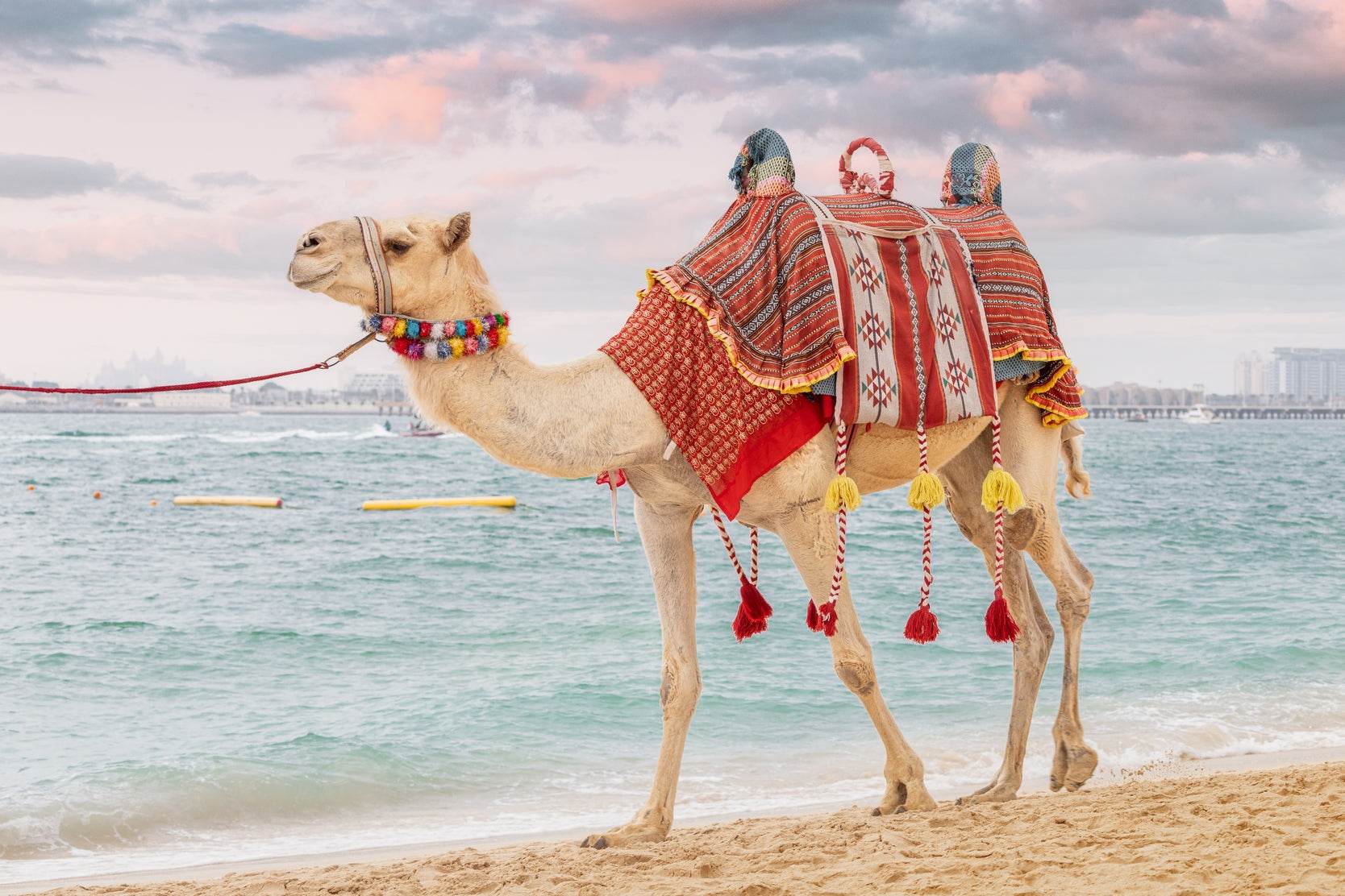 Nomad by the Sea Wall Art - beink online art store
