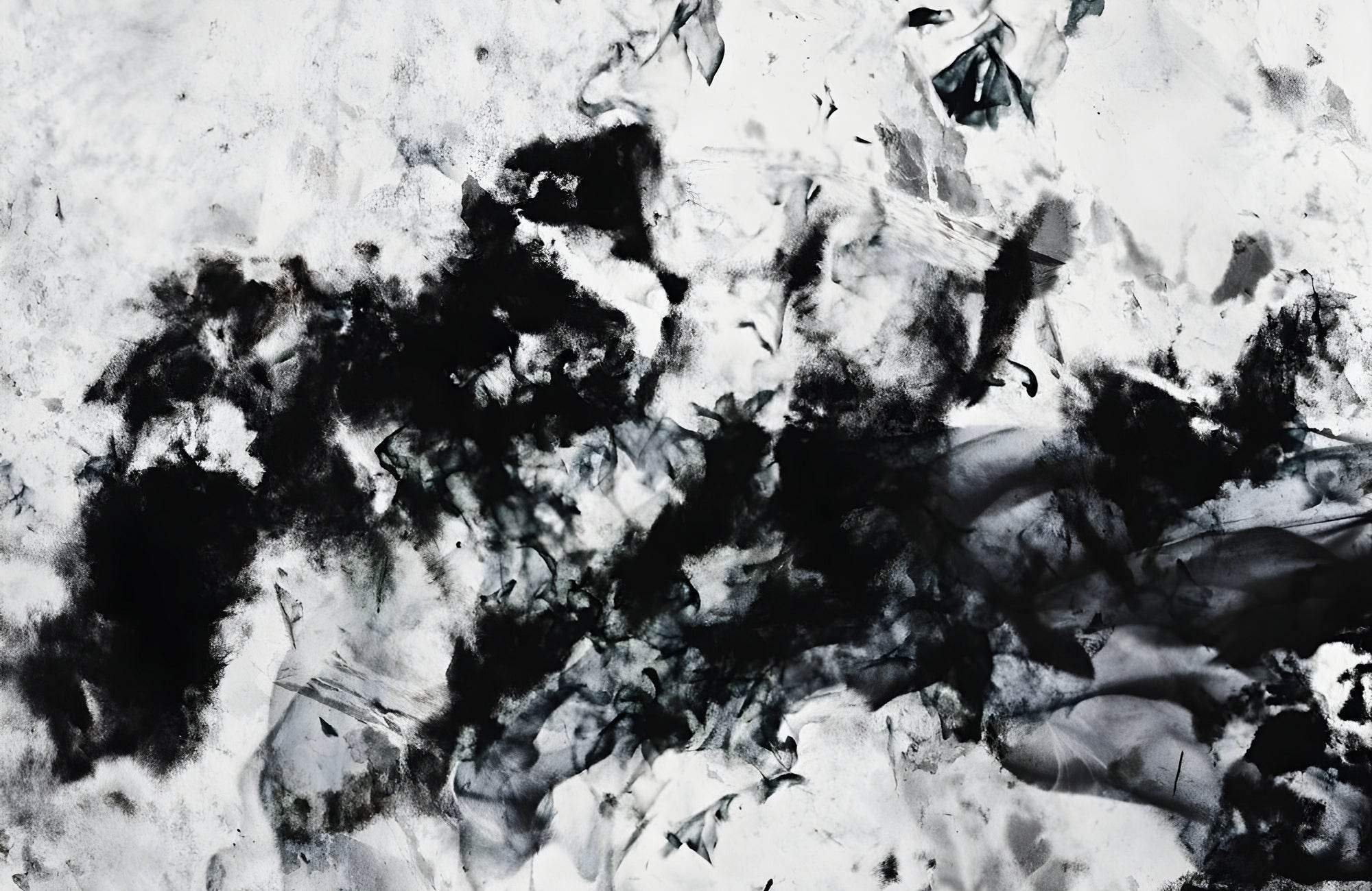 Black and White Ink Blots Wall Art - beink online art store