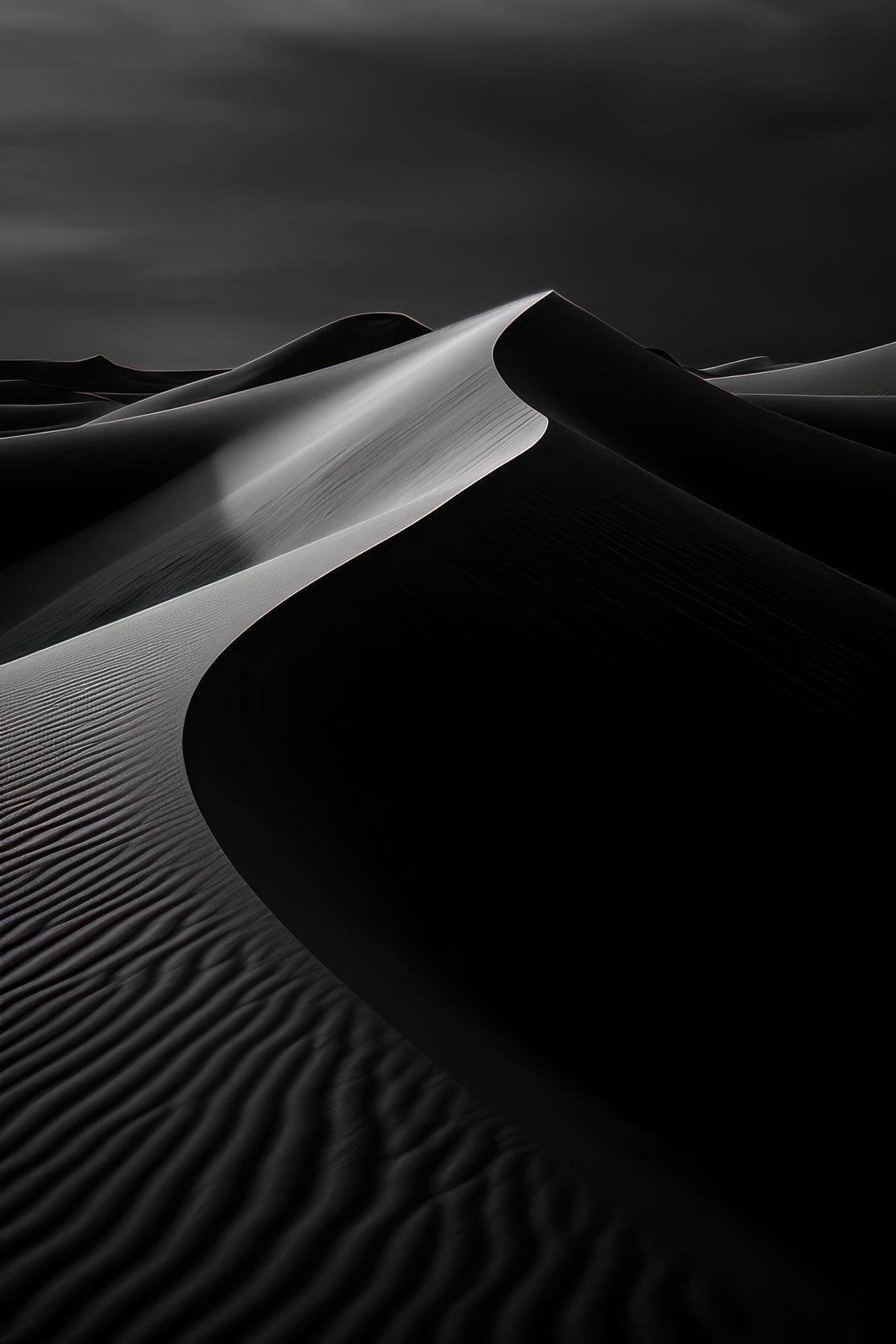 Desert Night Black & White Wall Art - beink online art store