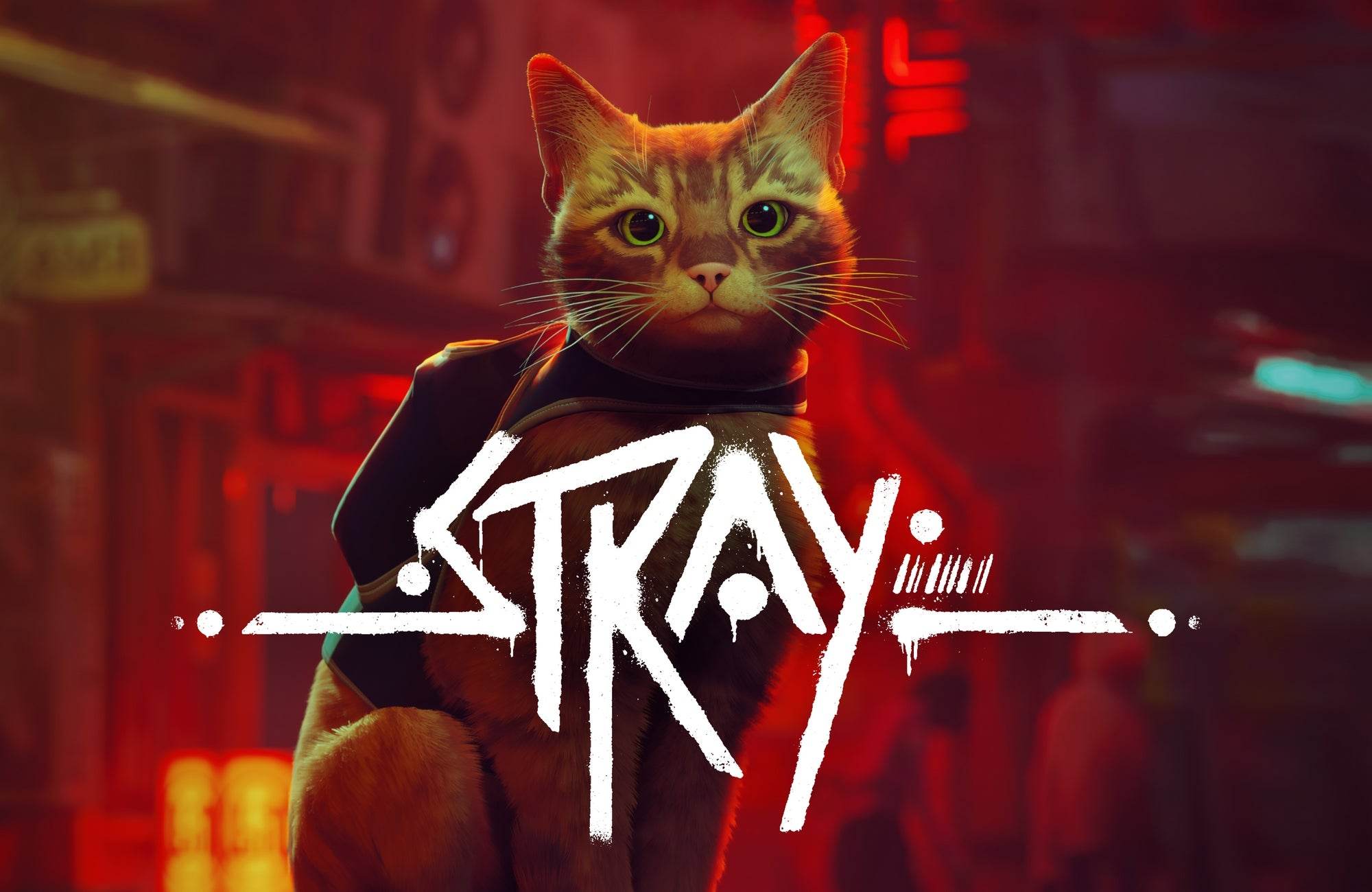 STRAY CATS Gaming Wall Art - beink online art store