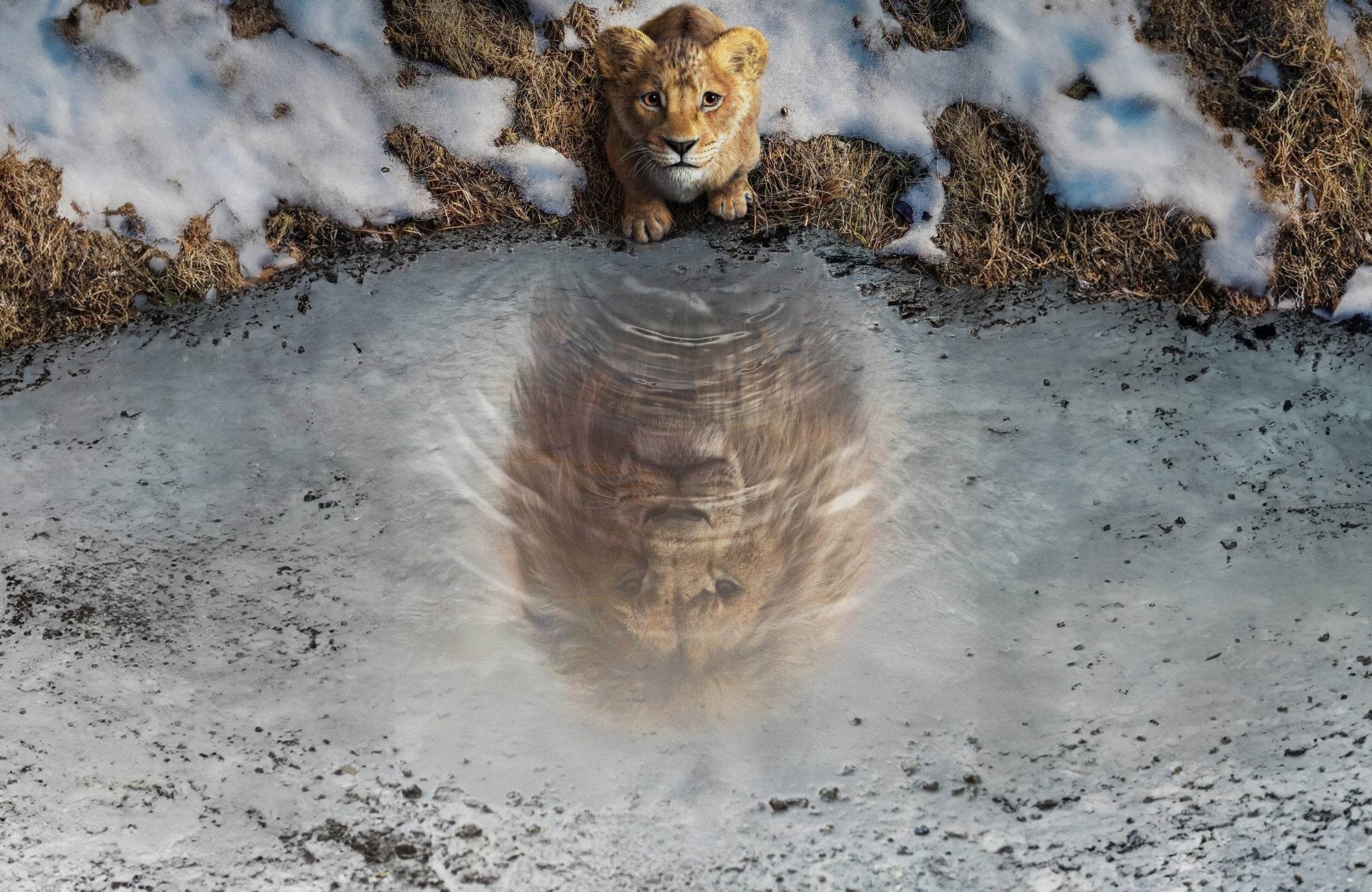 Mufasa: The Lion King Wall Art - beink online art store