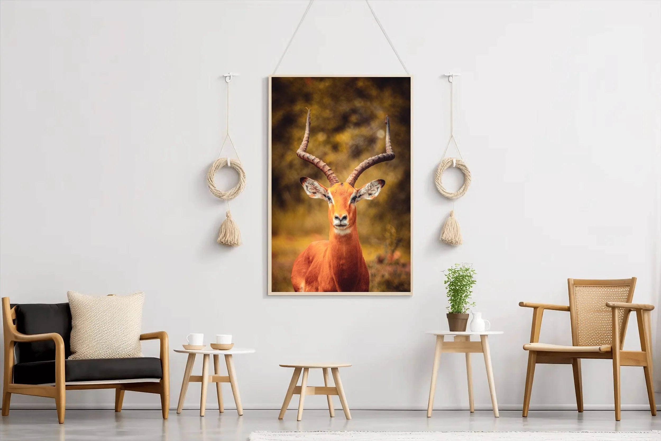 Impala Animal Wall Art - beink online art store