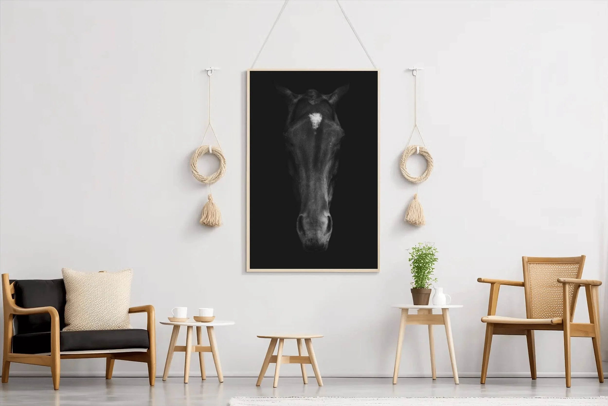 Stallion Black & White Wall Art - beink online art store