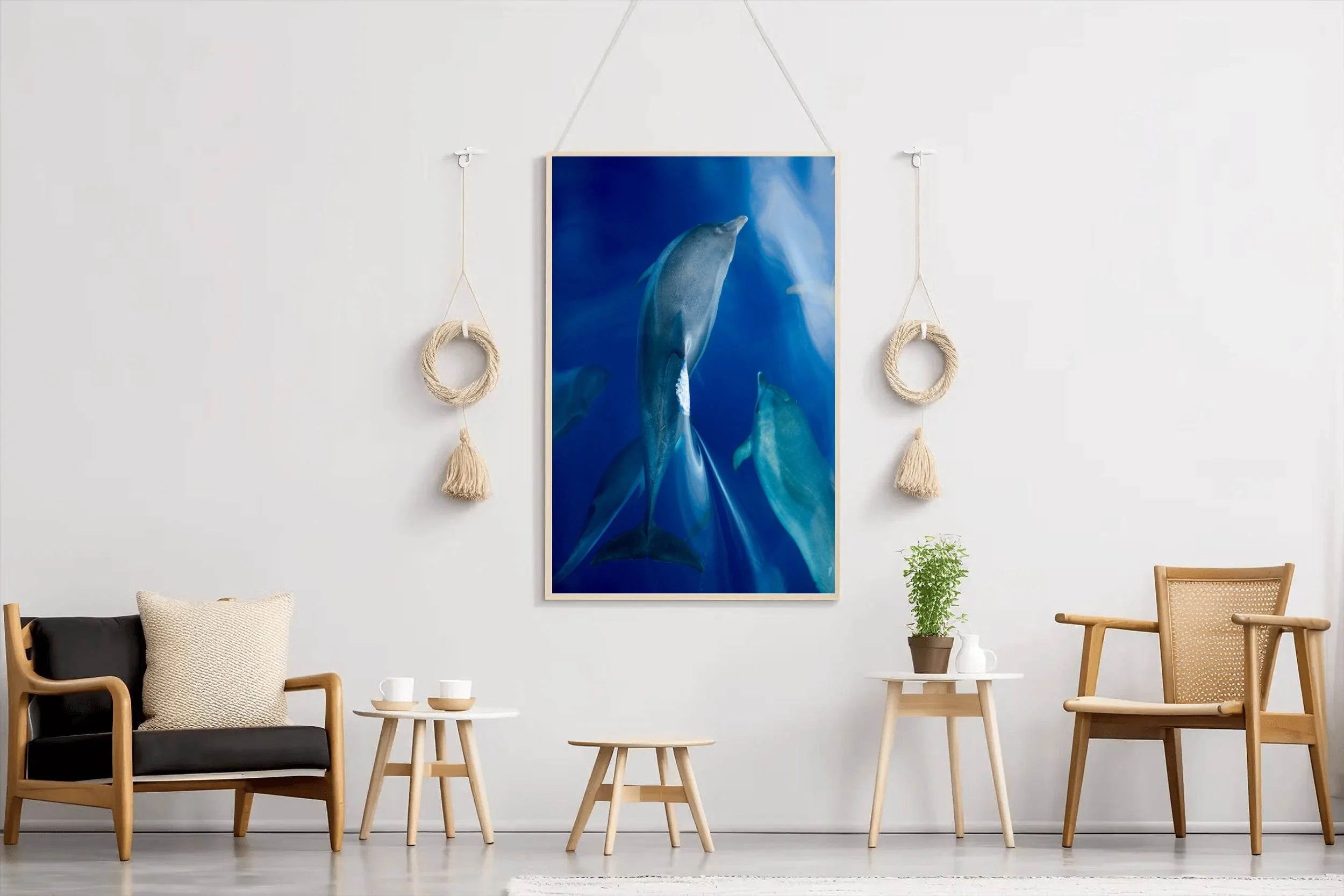 Common Bottlenose Dolphin Wall Art - beink online art store