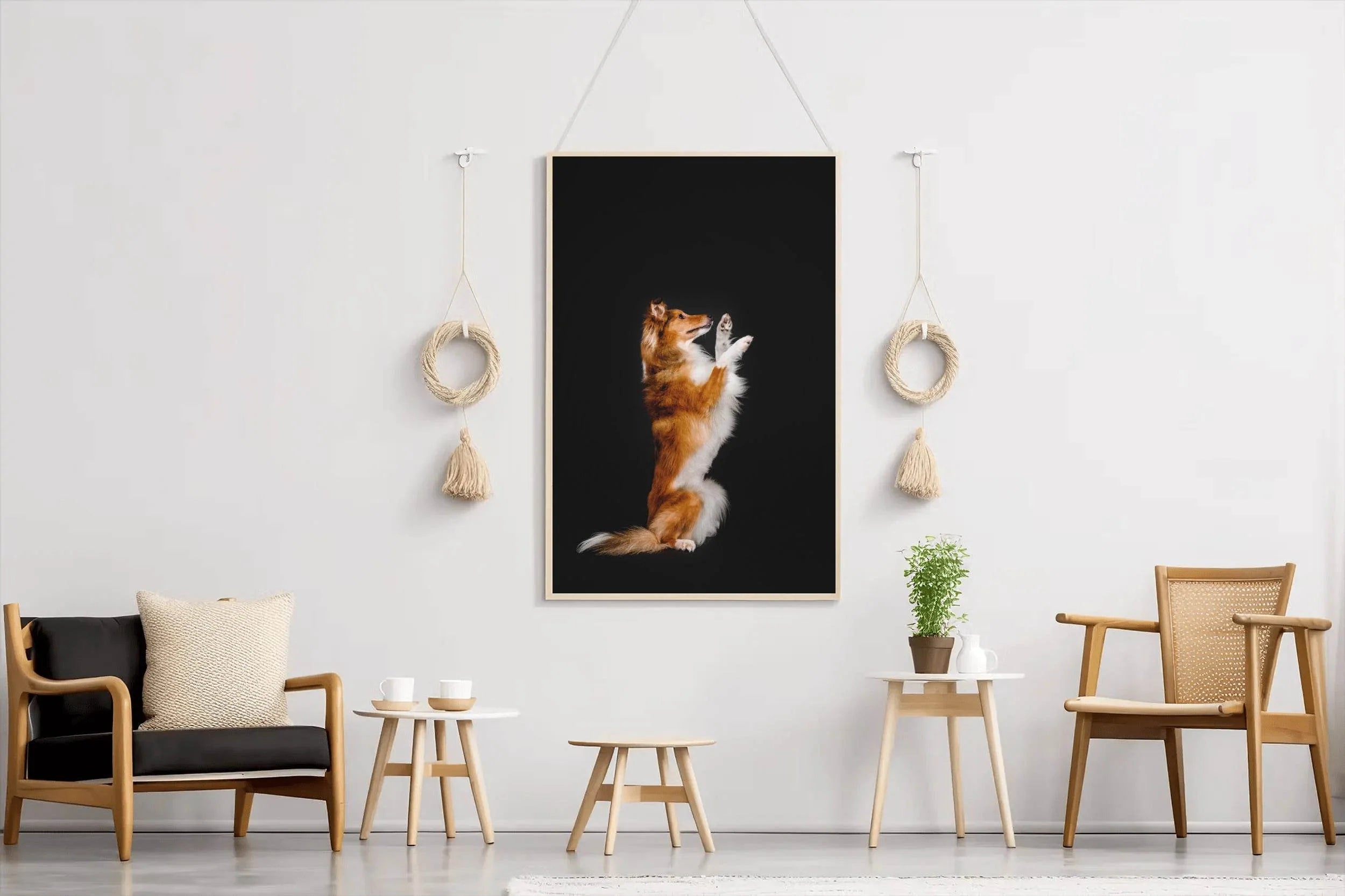 Rough Collie Animal Wall Art - beink online art store
