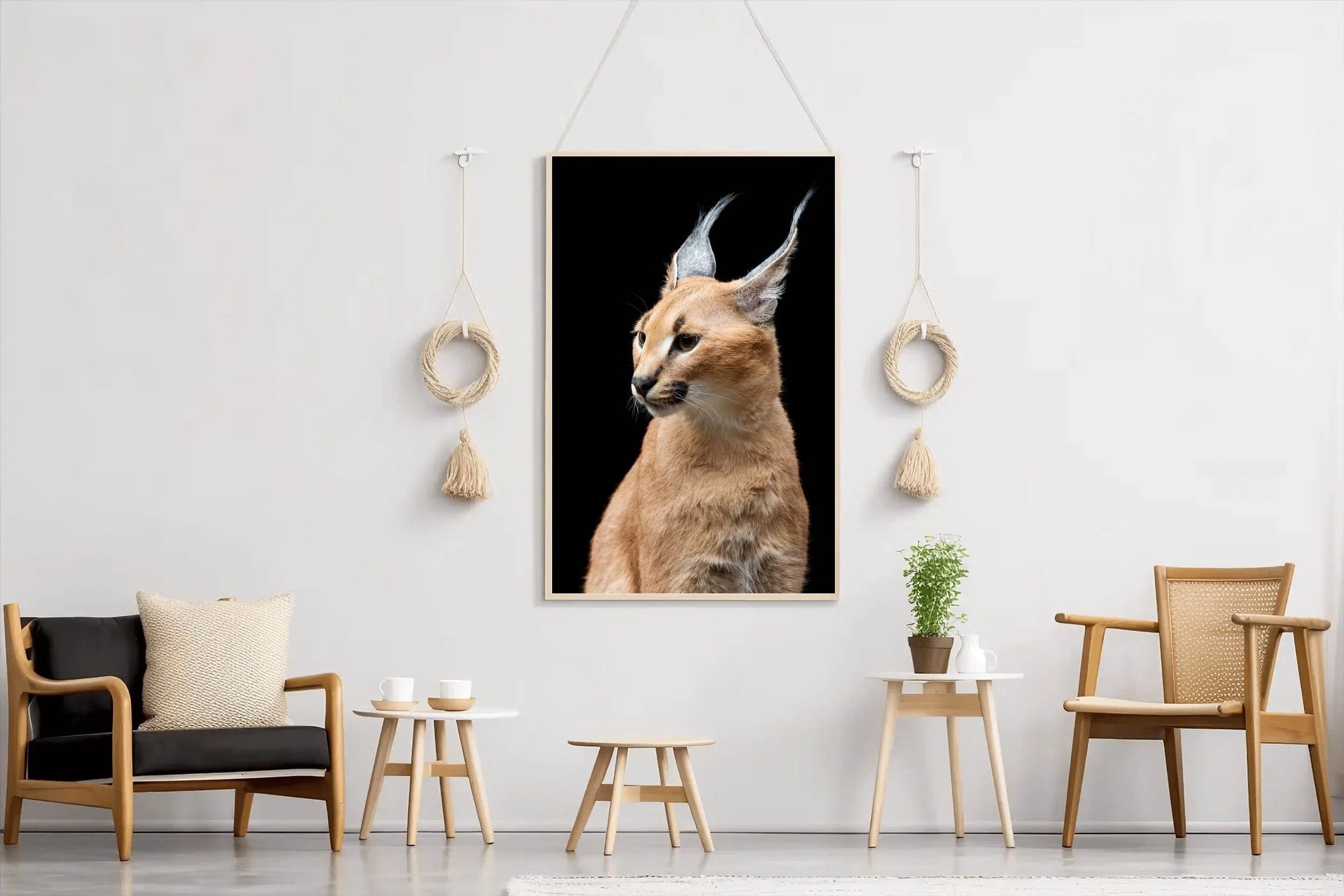 Wild Cart Caracal Face Wall Art - beink online art store