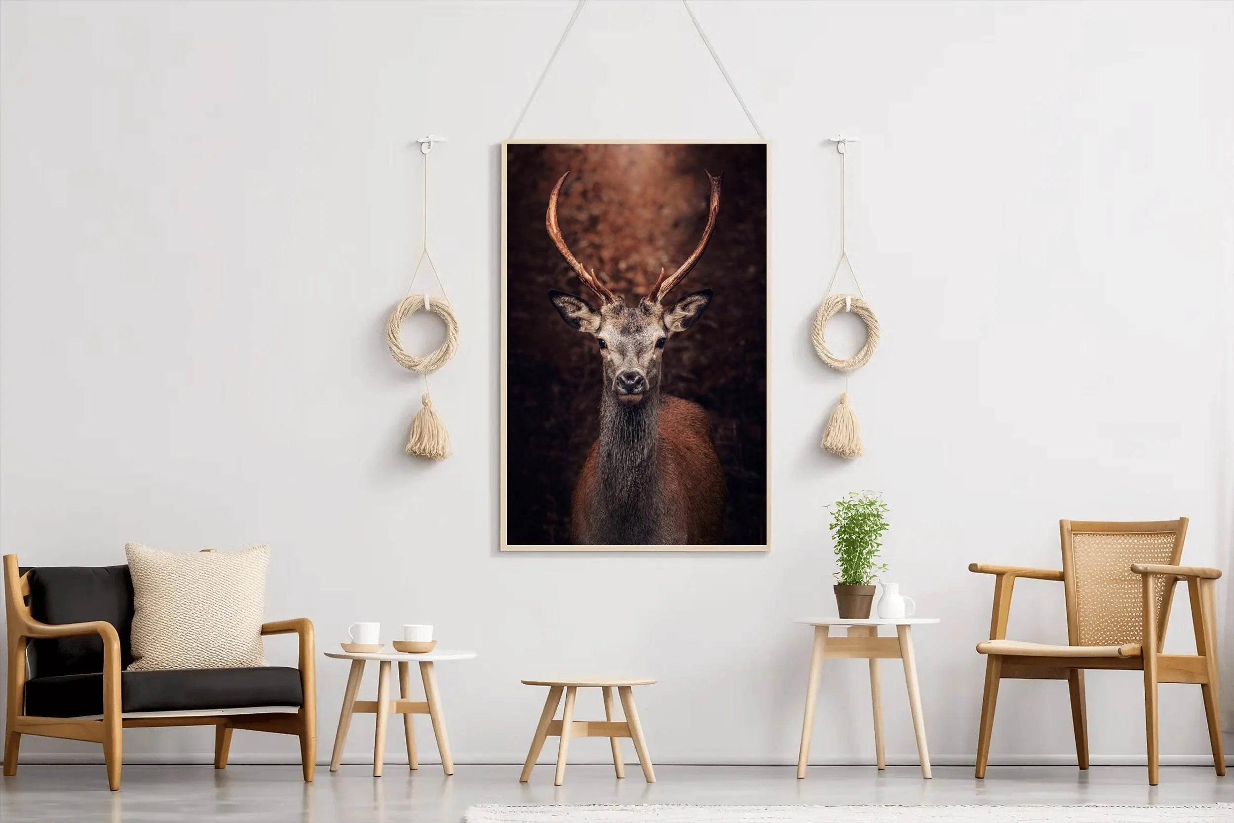Red Deer Animal Wall Art - beink online art store