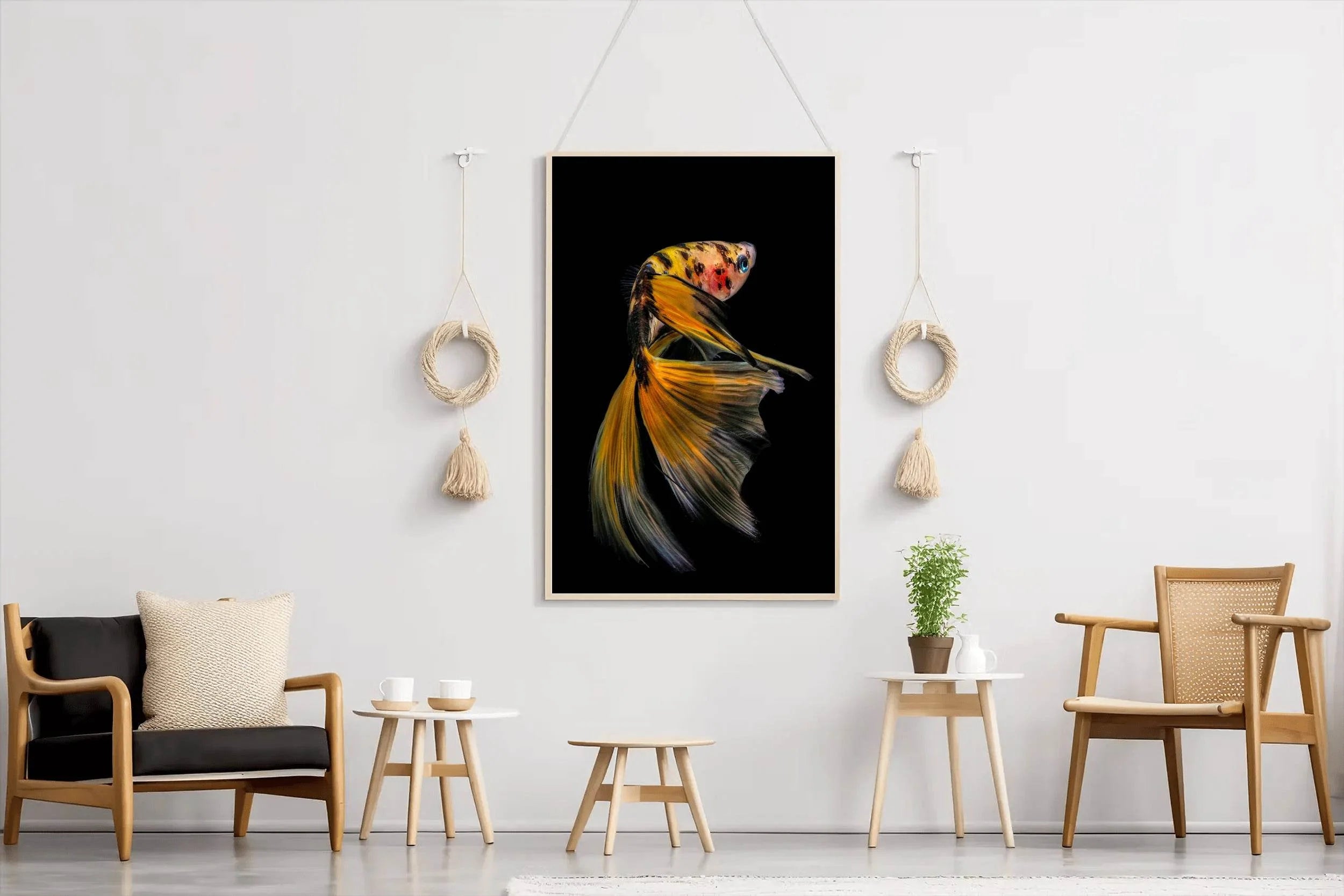 Siamese Fighting Fish Picture Wall Art - beink online art store