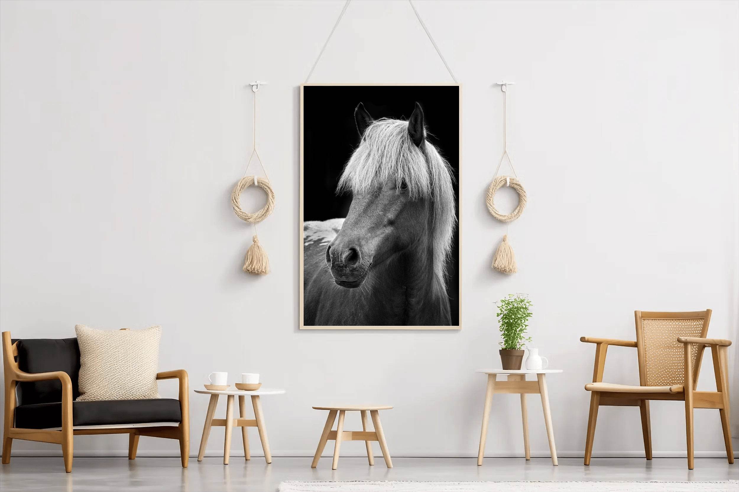 Icelandic Horse Black & White Wall Art - beink online art store