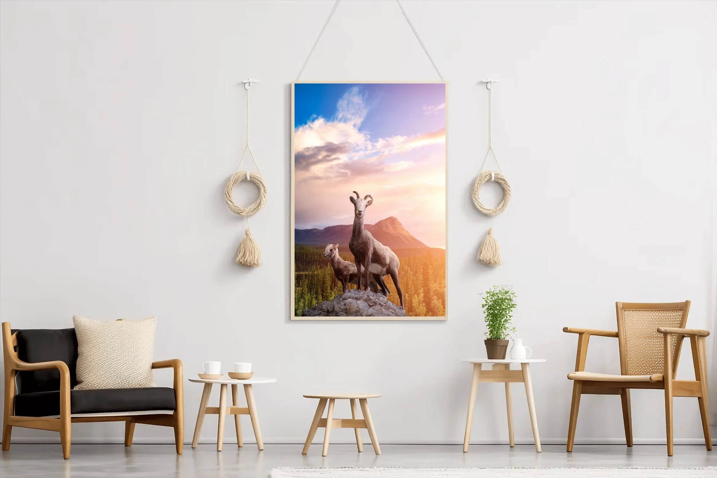 Desert Bighorn Sheep Wall Art - beink online art store