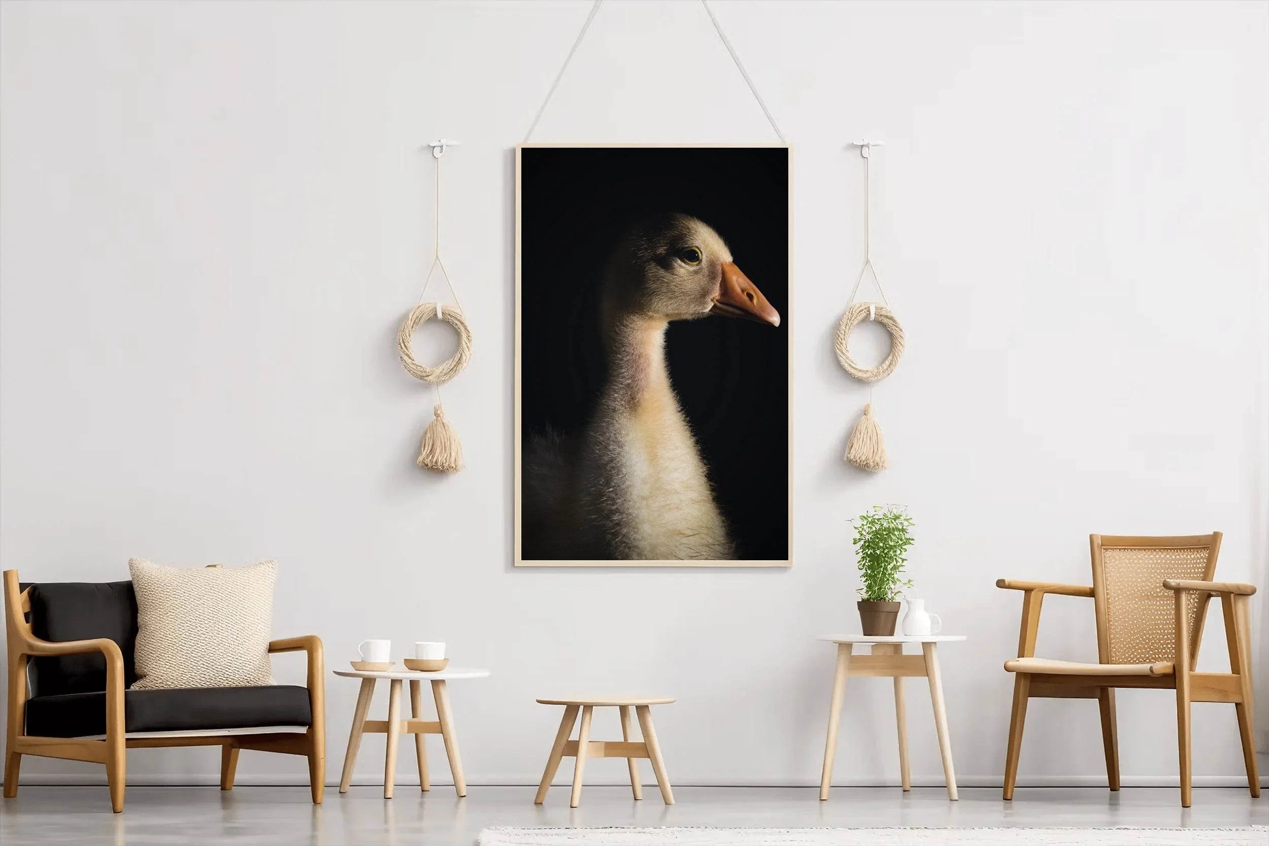 Domestic Goose Wall Art - beink online art store