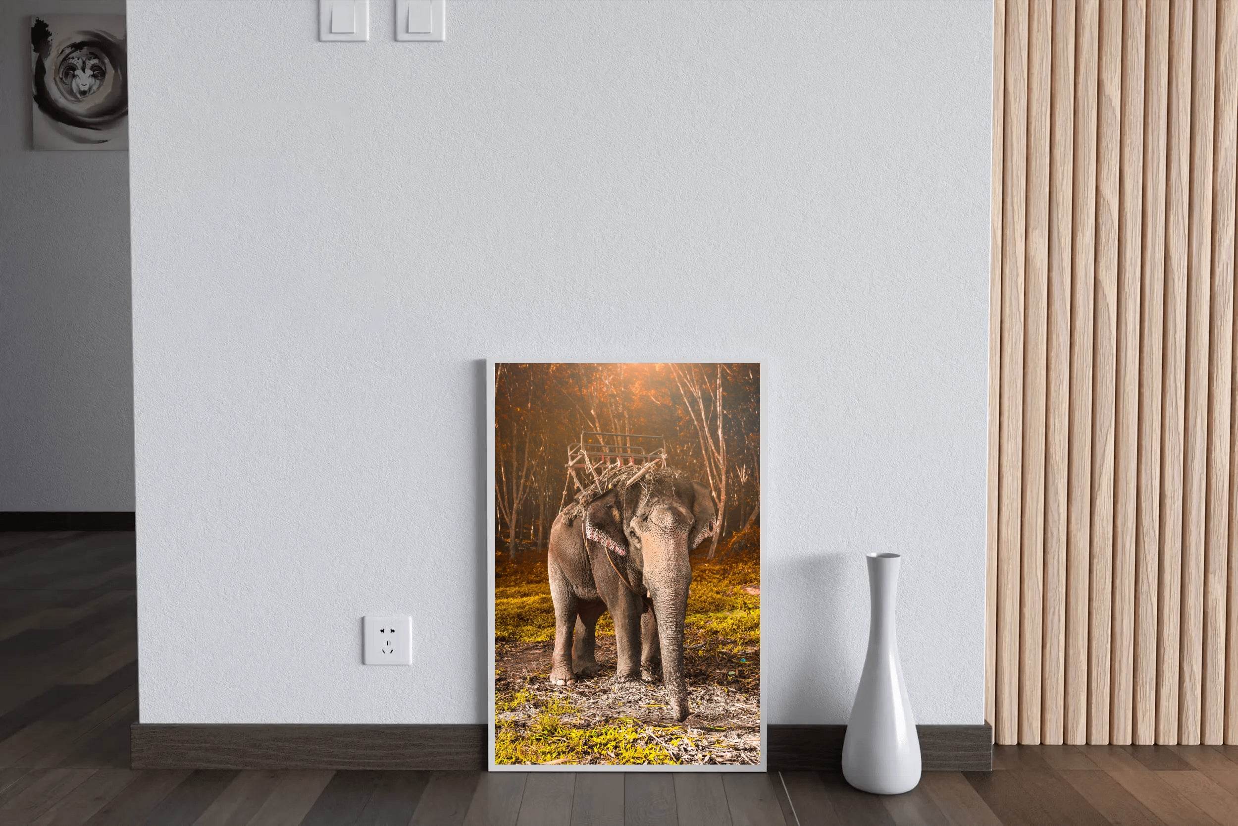 Indian Elephant Animal Wall Art - beink online art store