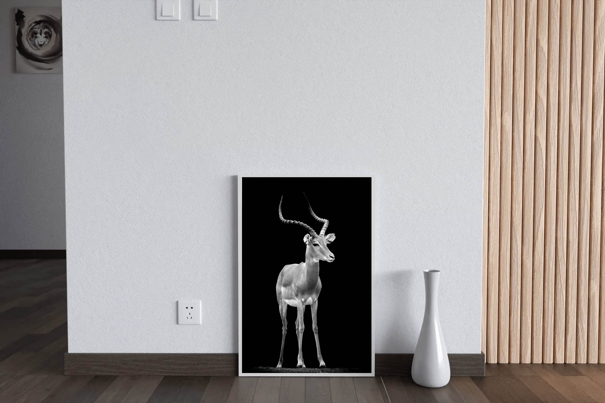 Impala Black & White Wall Art - beink online art store