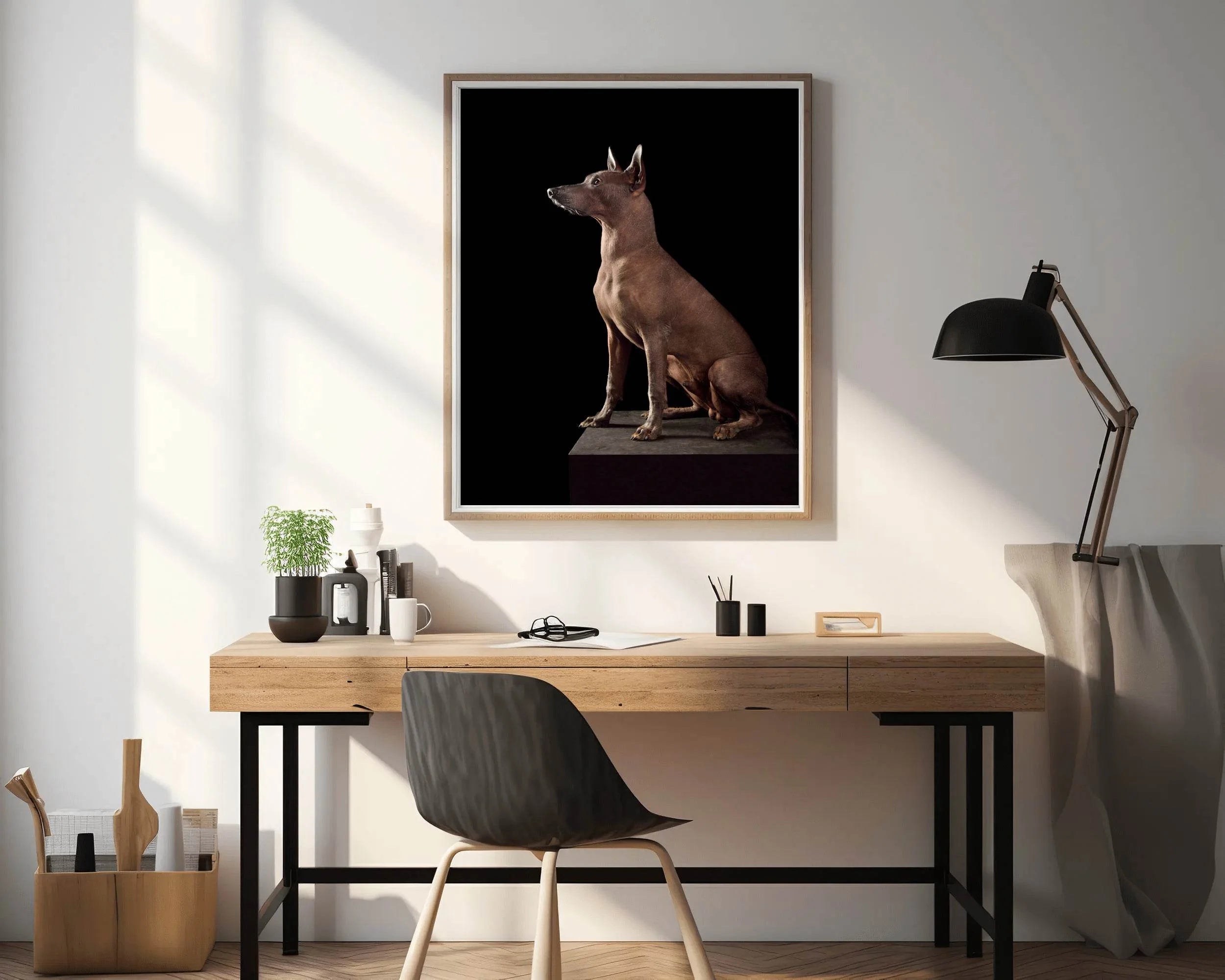 Peruvian Inca Orchid Dog Picture Wall Art - beink online art store