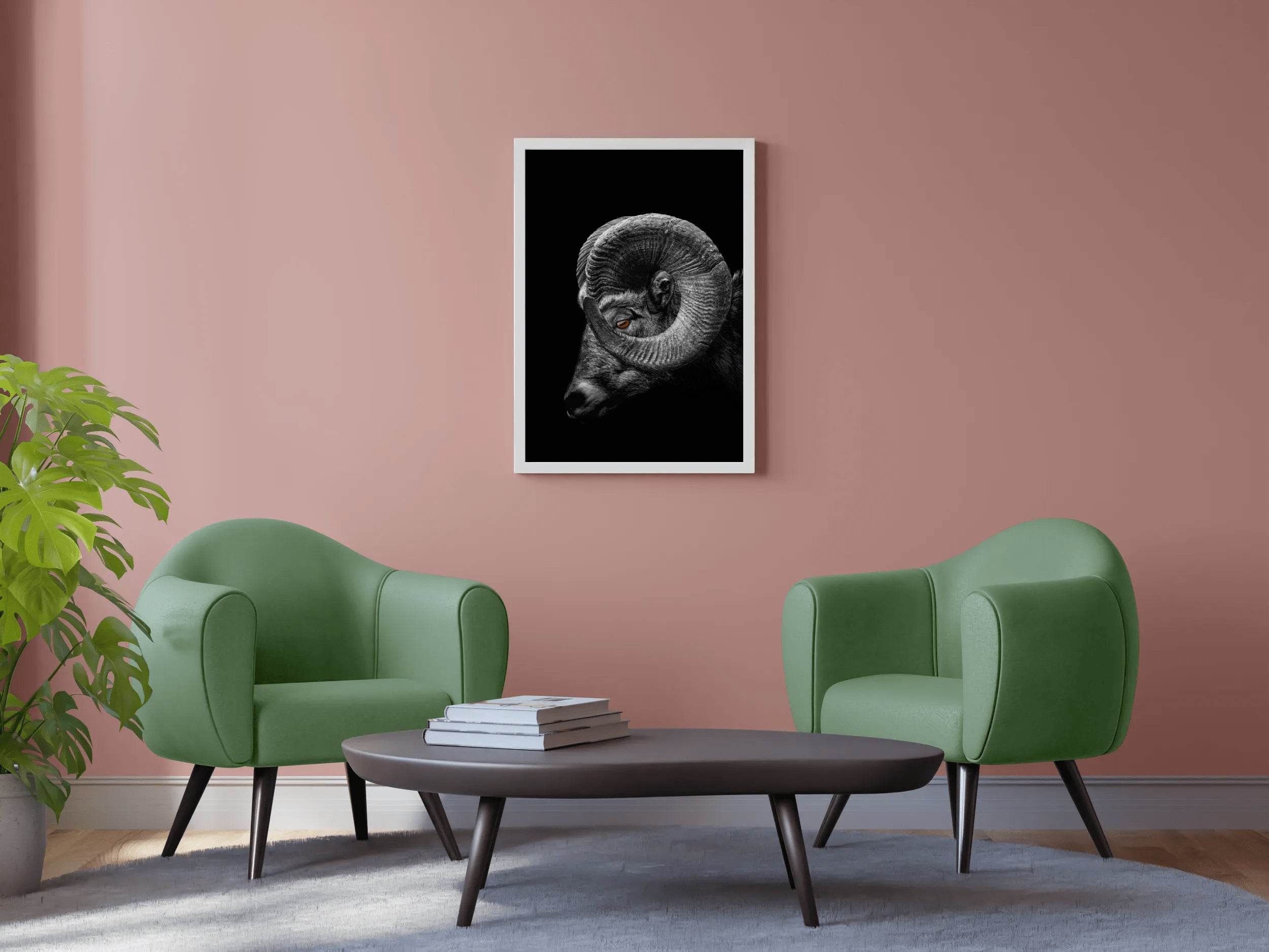 Bighorn Sheep Black & White Wall Art - beink online art store