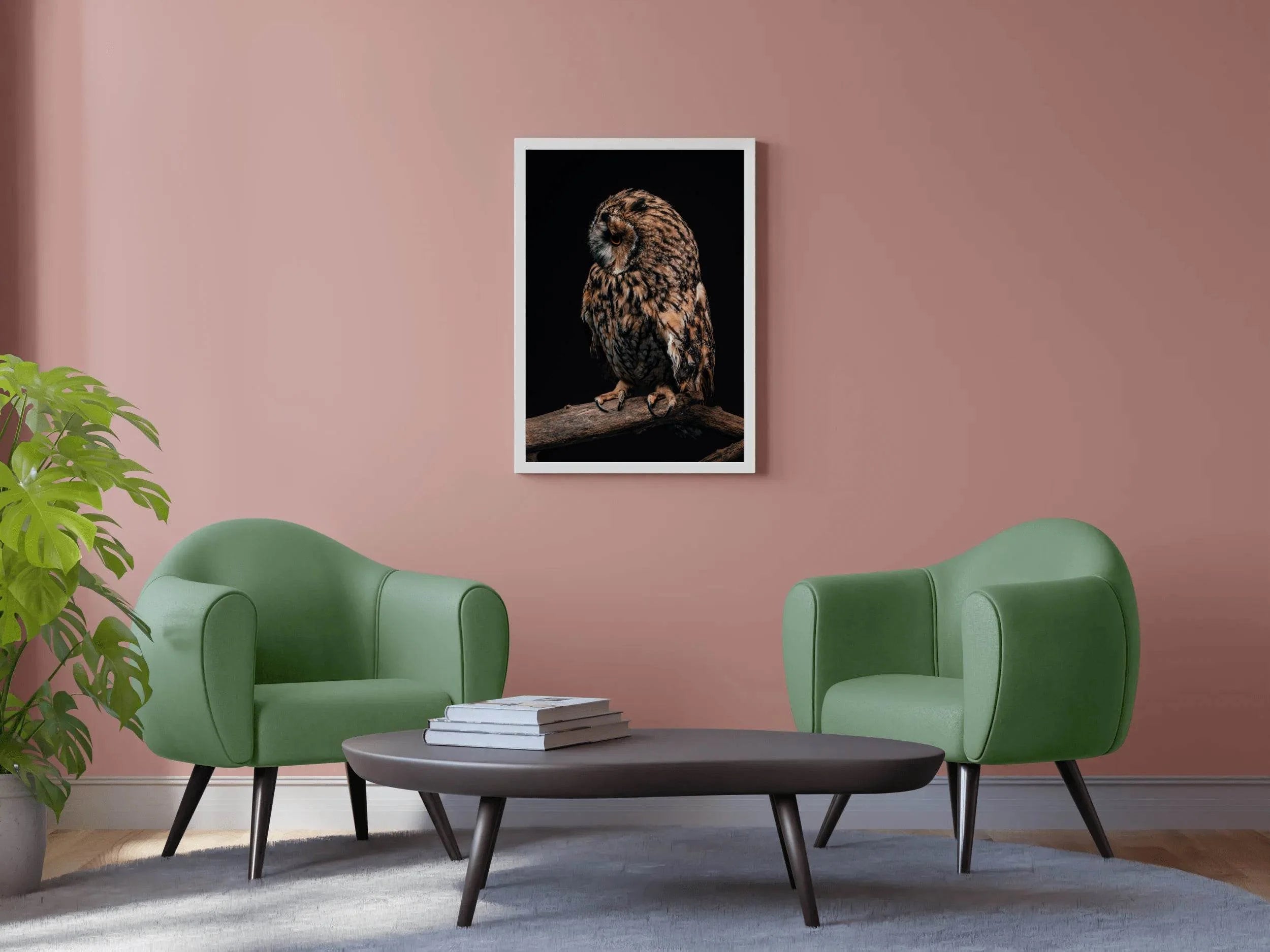 Long-Eared Owl Animal Wall Art - beink online art store