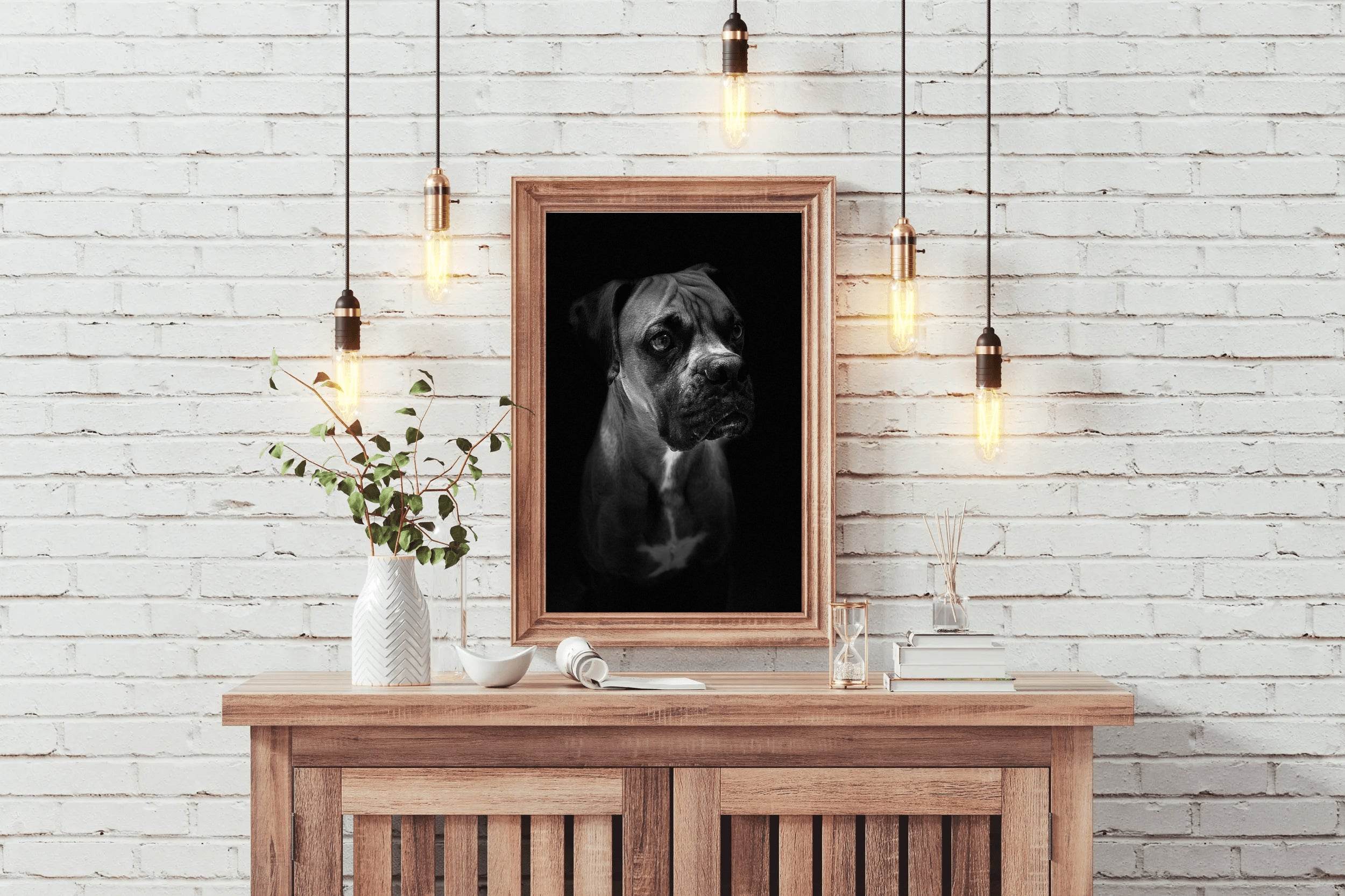 Boxer Dog Black & White Wall Art - beink online art store