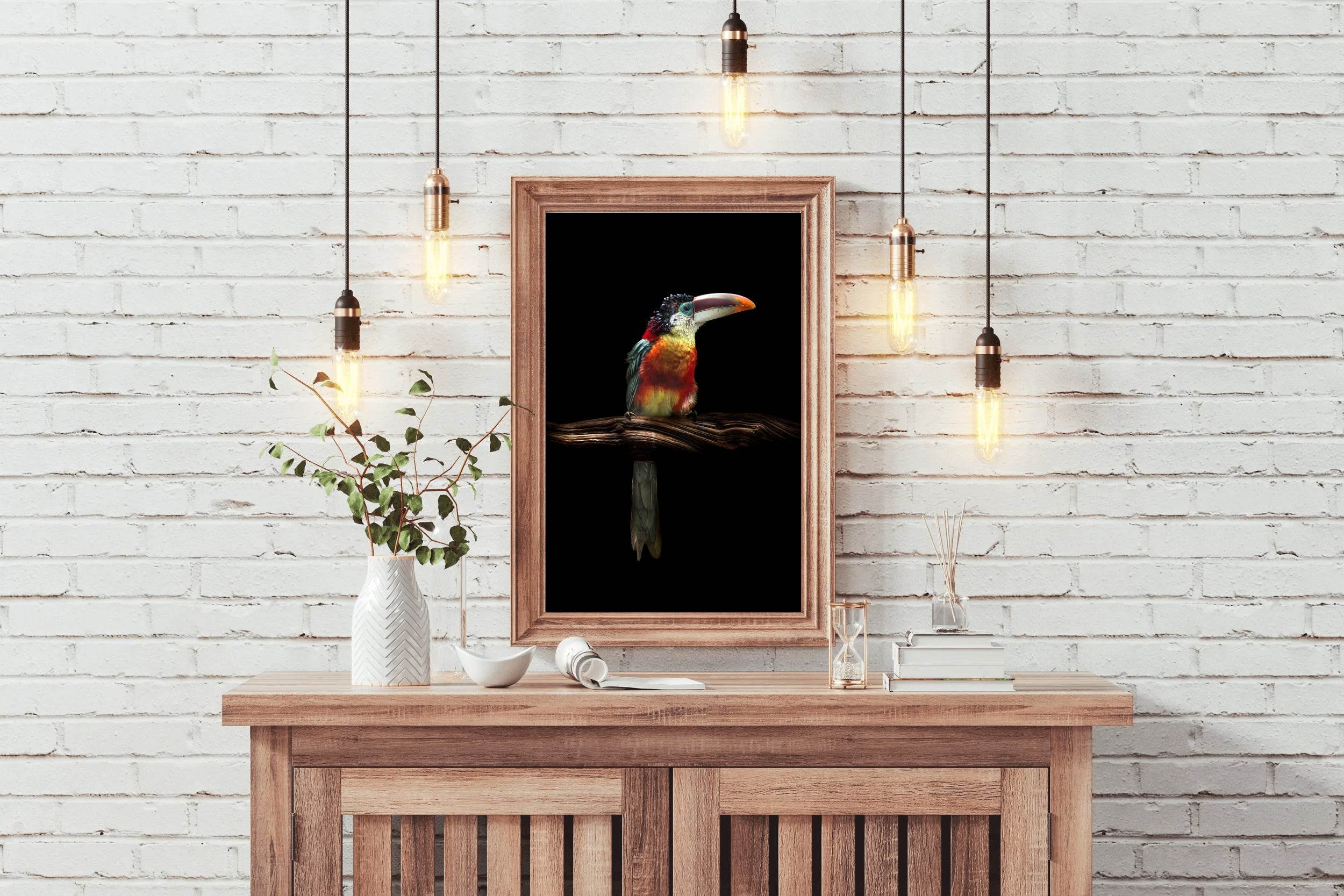 Curl-Crested Aracari Bird Wall Art - beink online art store