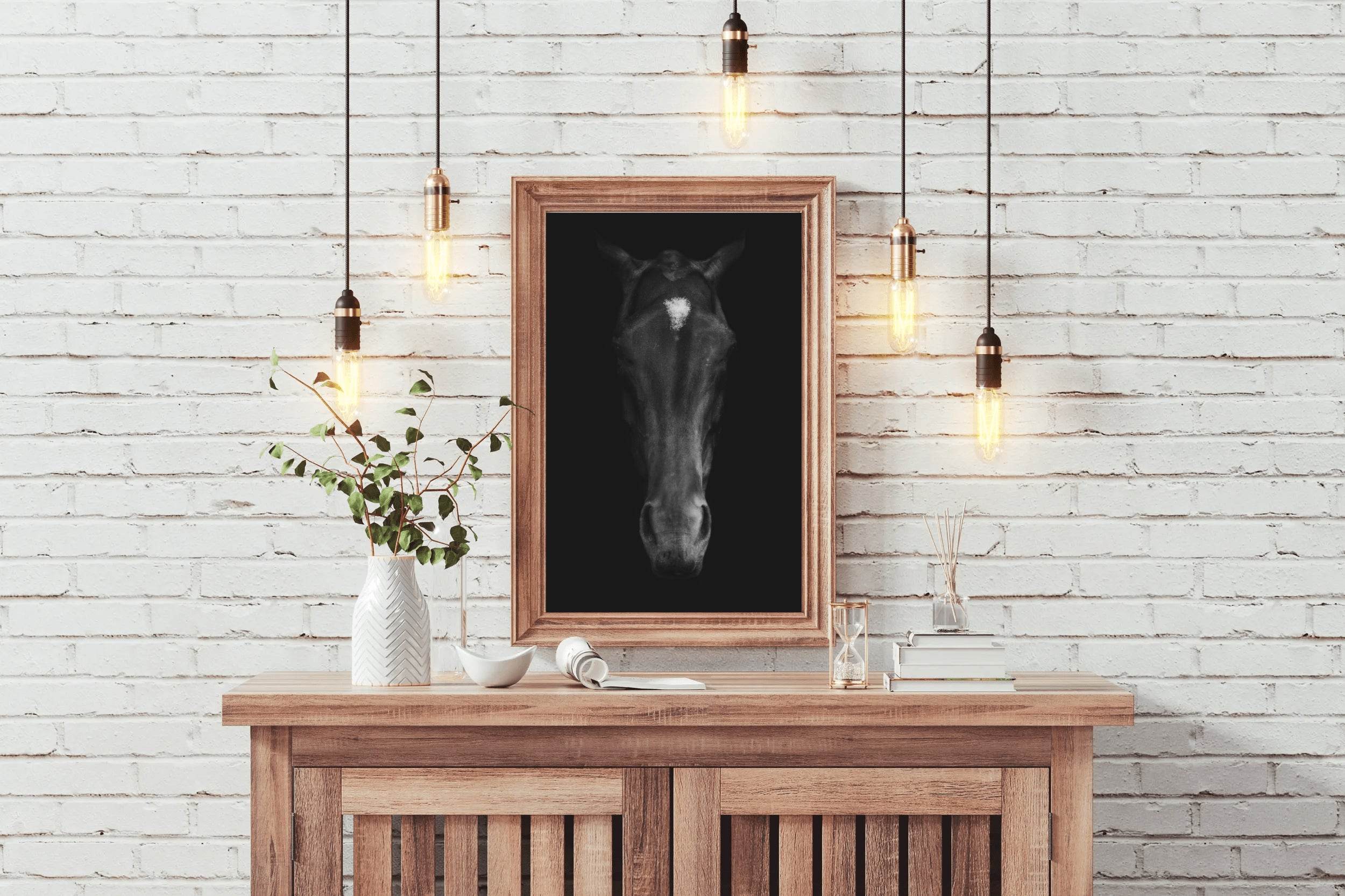 Stallion Black & White Wall Art - beink online art store