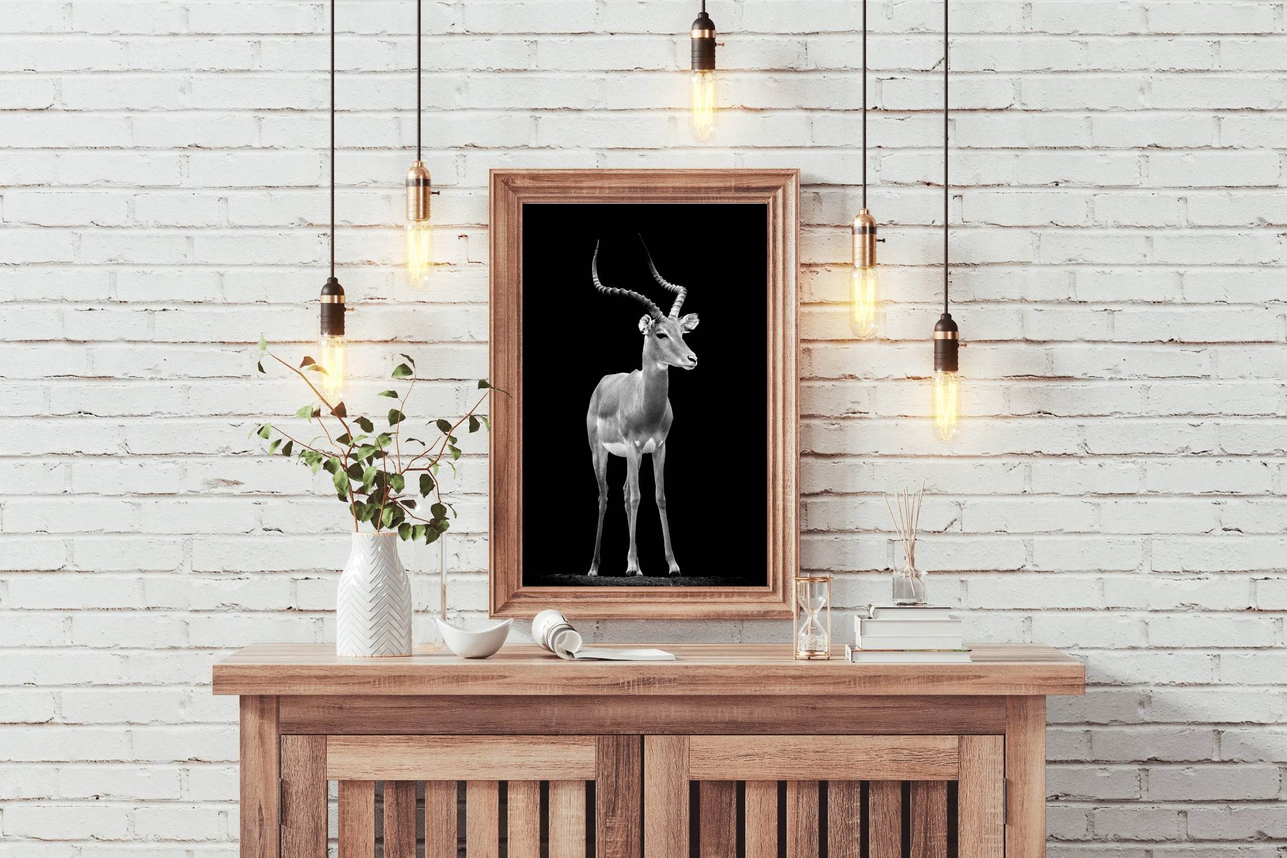 Impala Black & White Wall Art - beink online art store