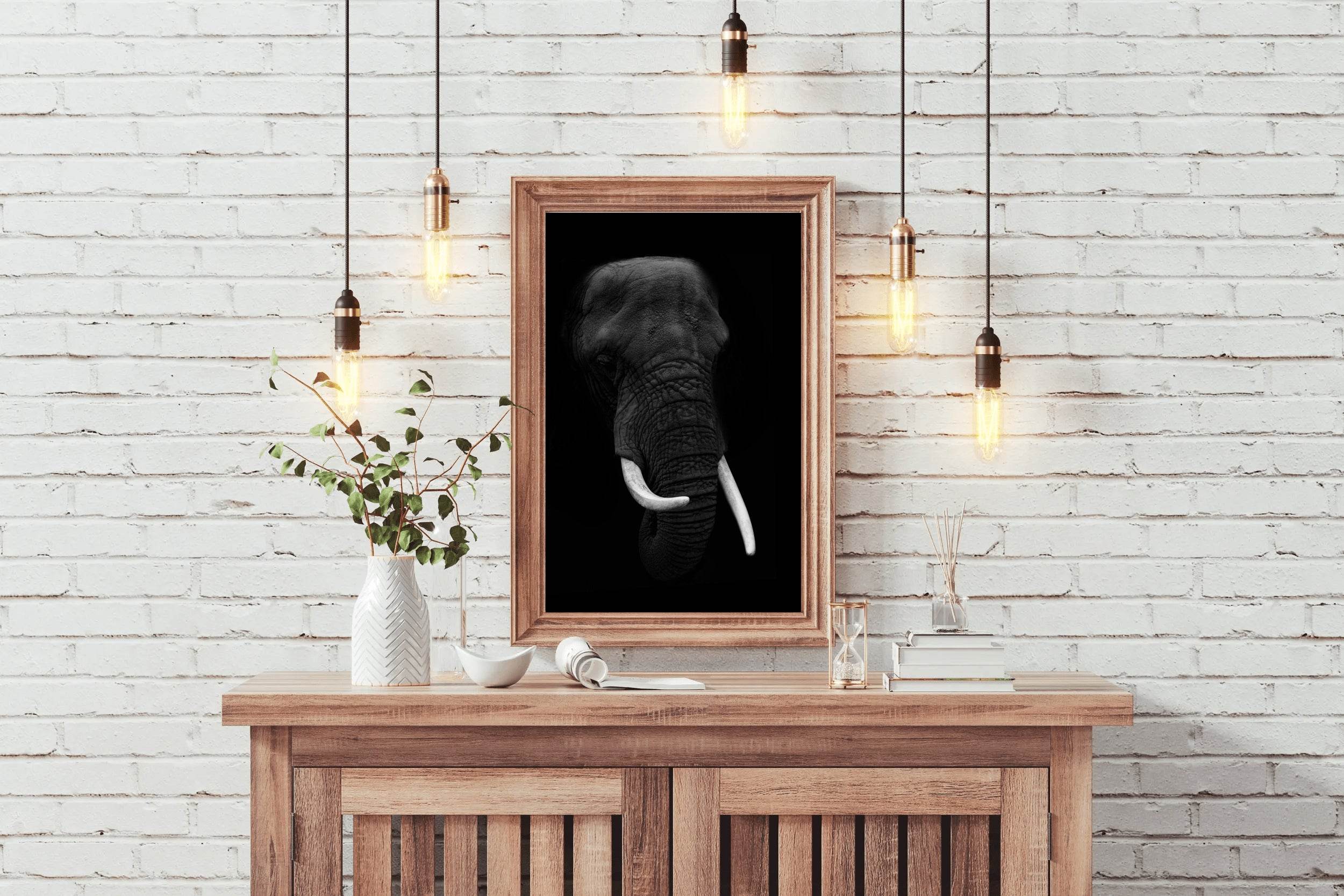 African Bush Elephant Black & White Wall Art - beink online art store
