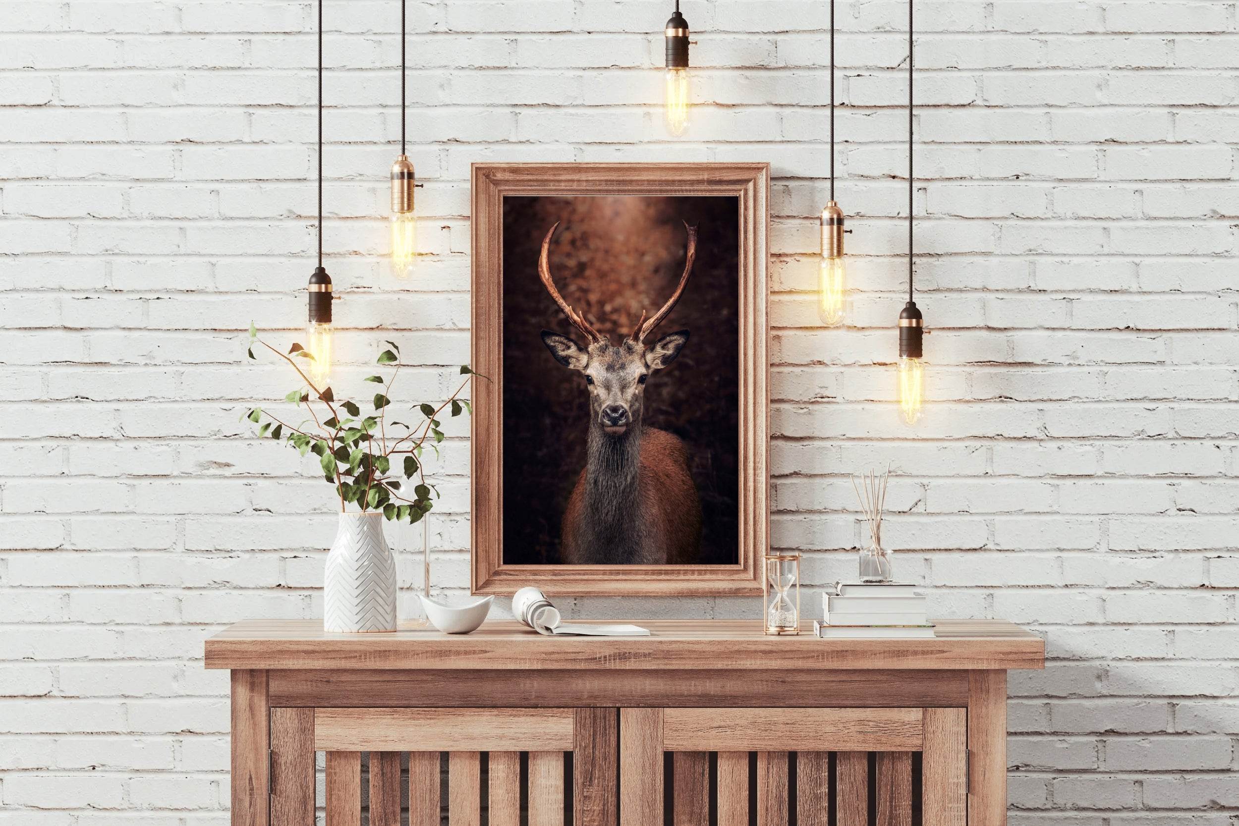 Red Deer Animal Wall Art - beink online art store