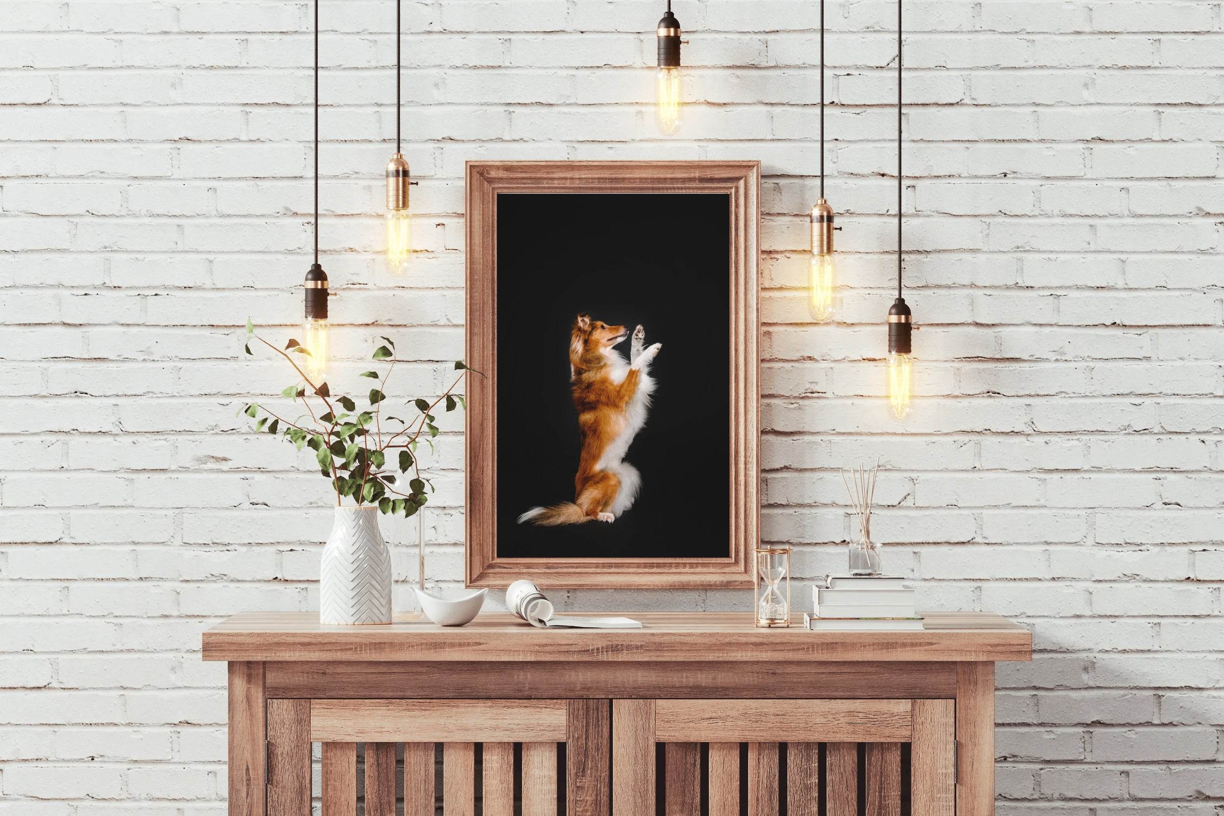 Rough Collie Animal Wall Art - beink online art store