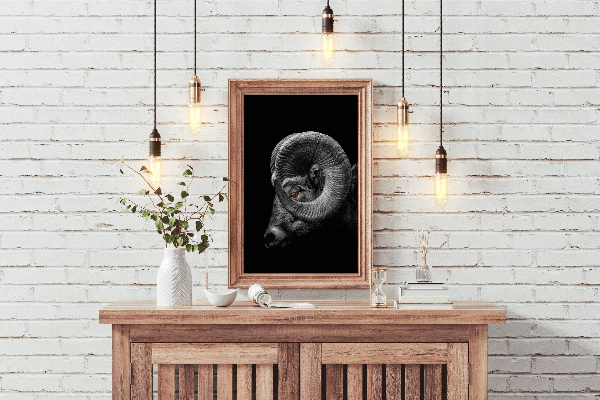 Bighorn Sheep Black & White Wall Art - beink online art store