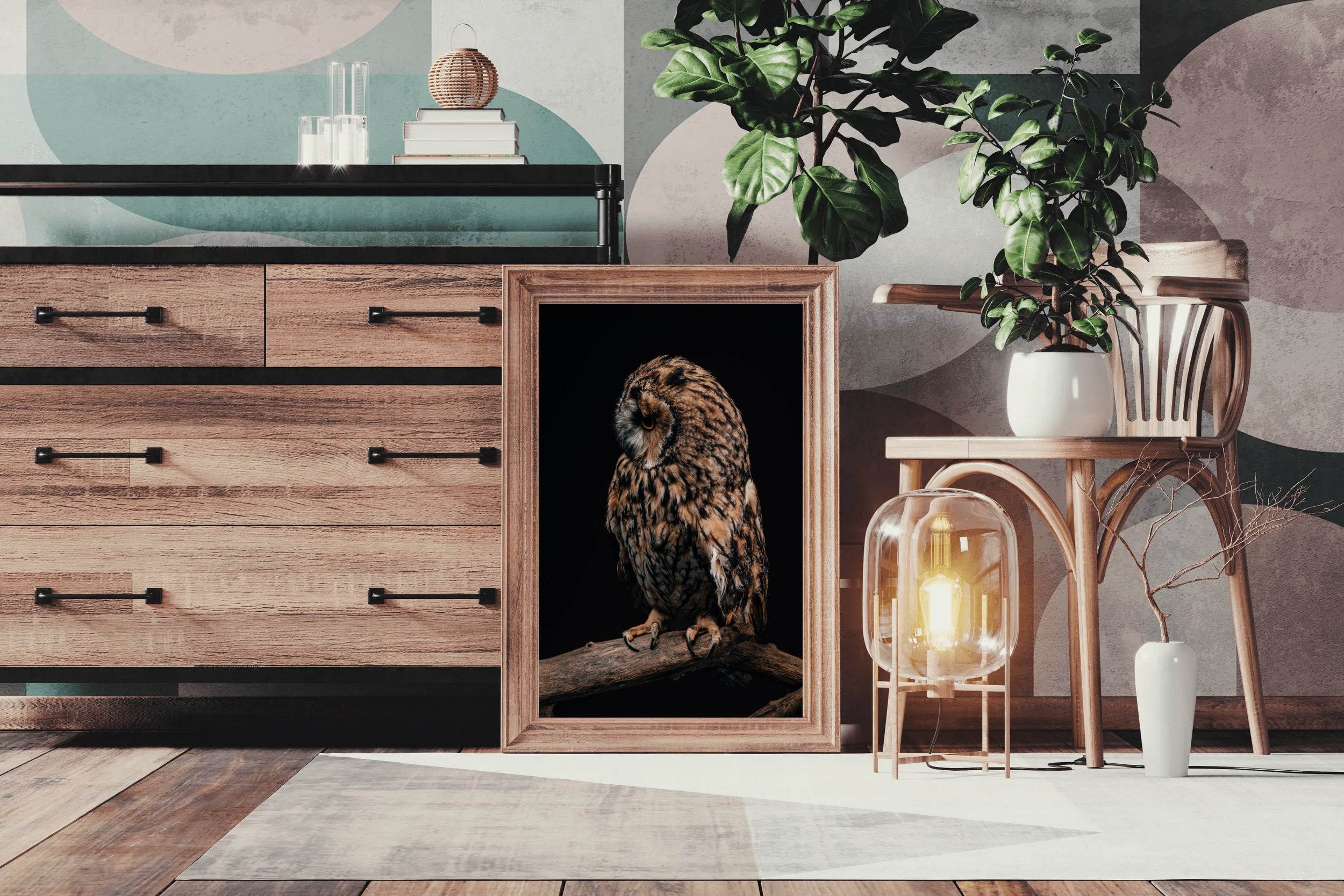 Long-Eared Owl Animal Wall Art - beink online art store