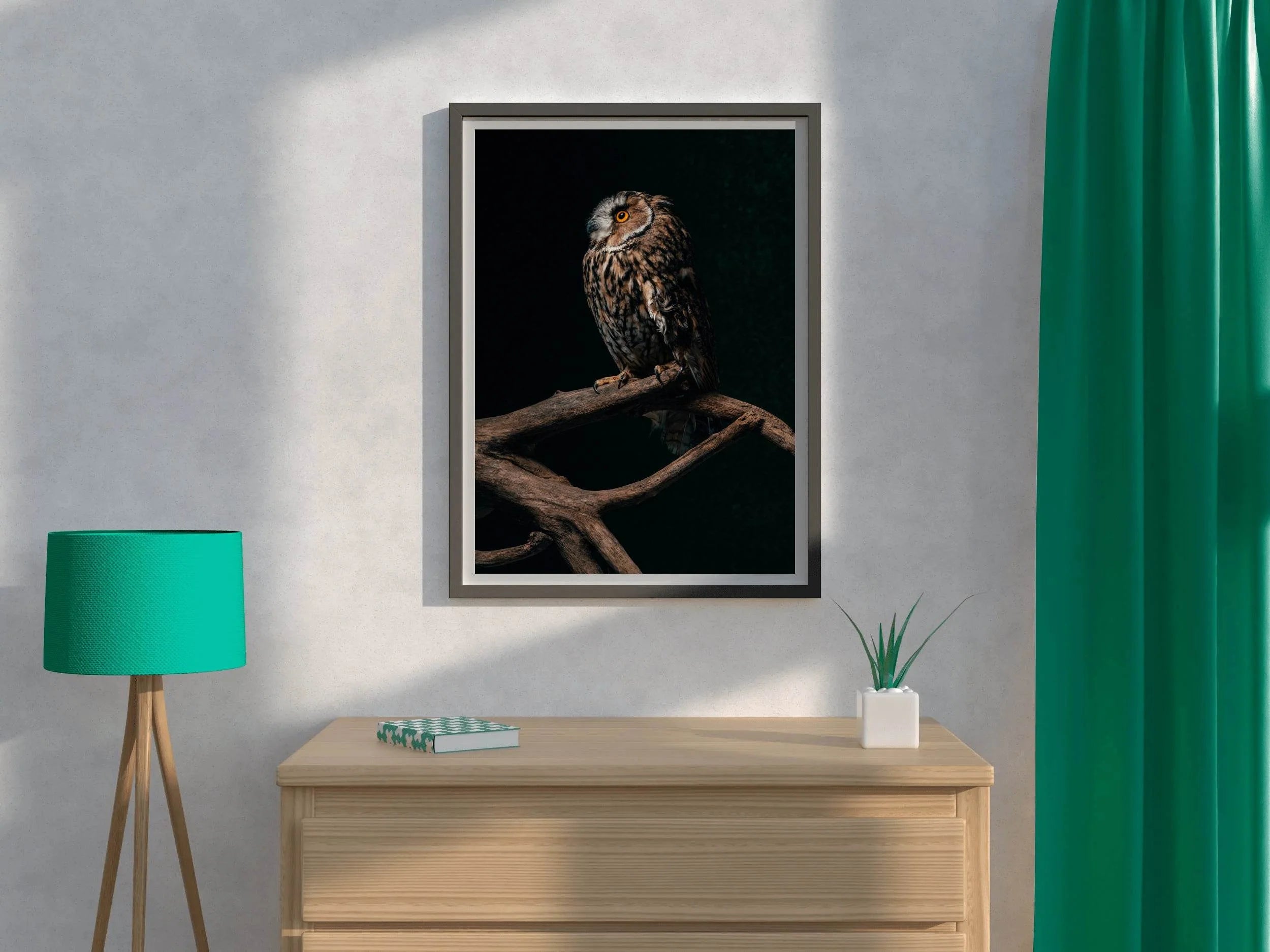 Long-Eared Owl Sitting on Branch Wall Art - beink online art store