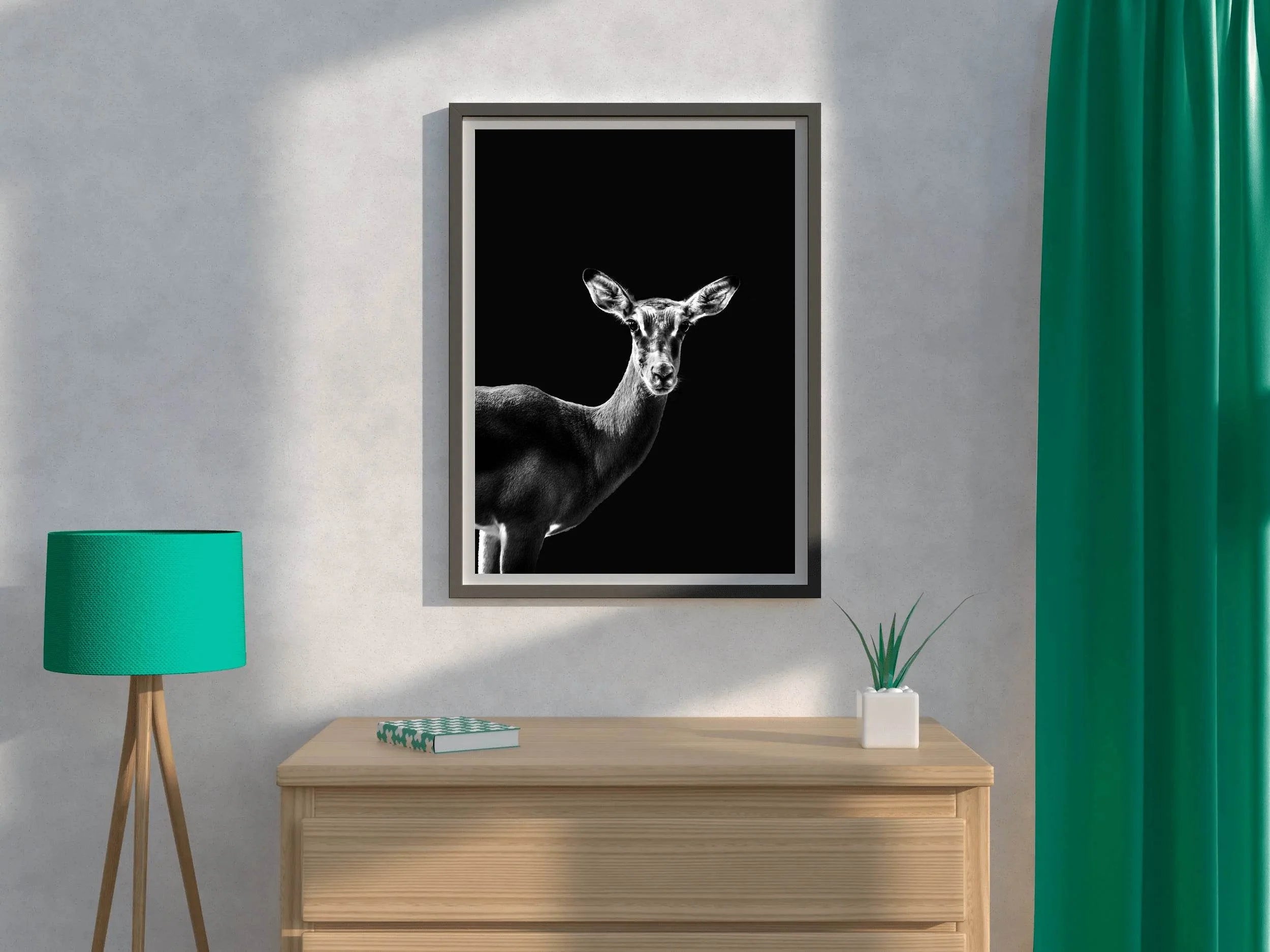 Impala Black and White Wall Art - beink online art store