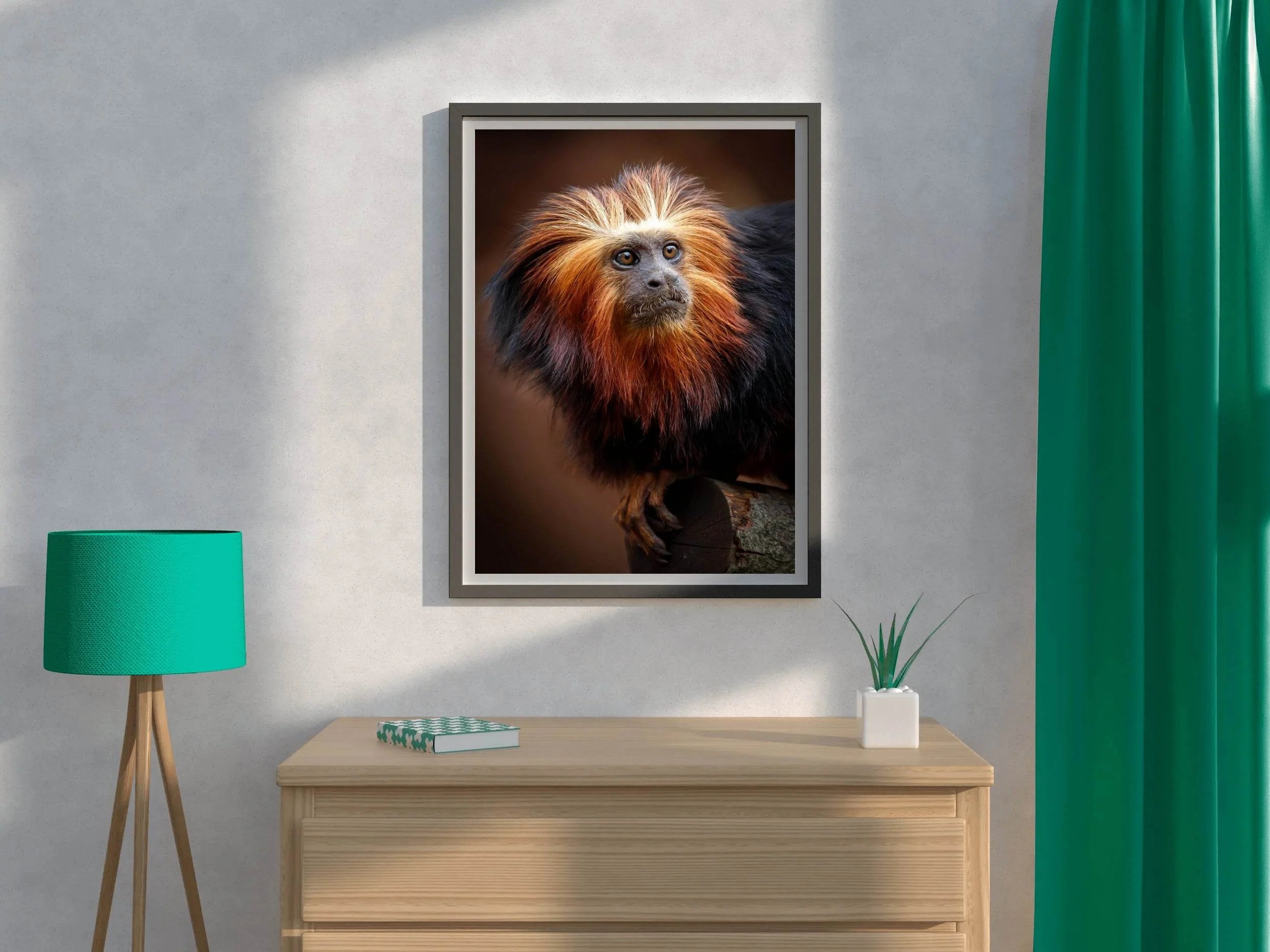 Golden Marmoset Monkey Wall Art - beink online art store
