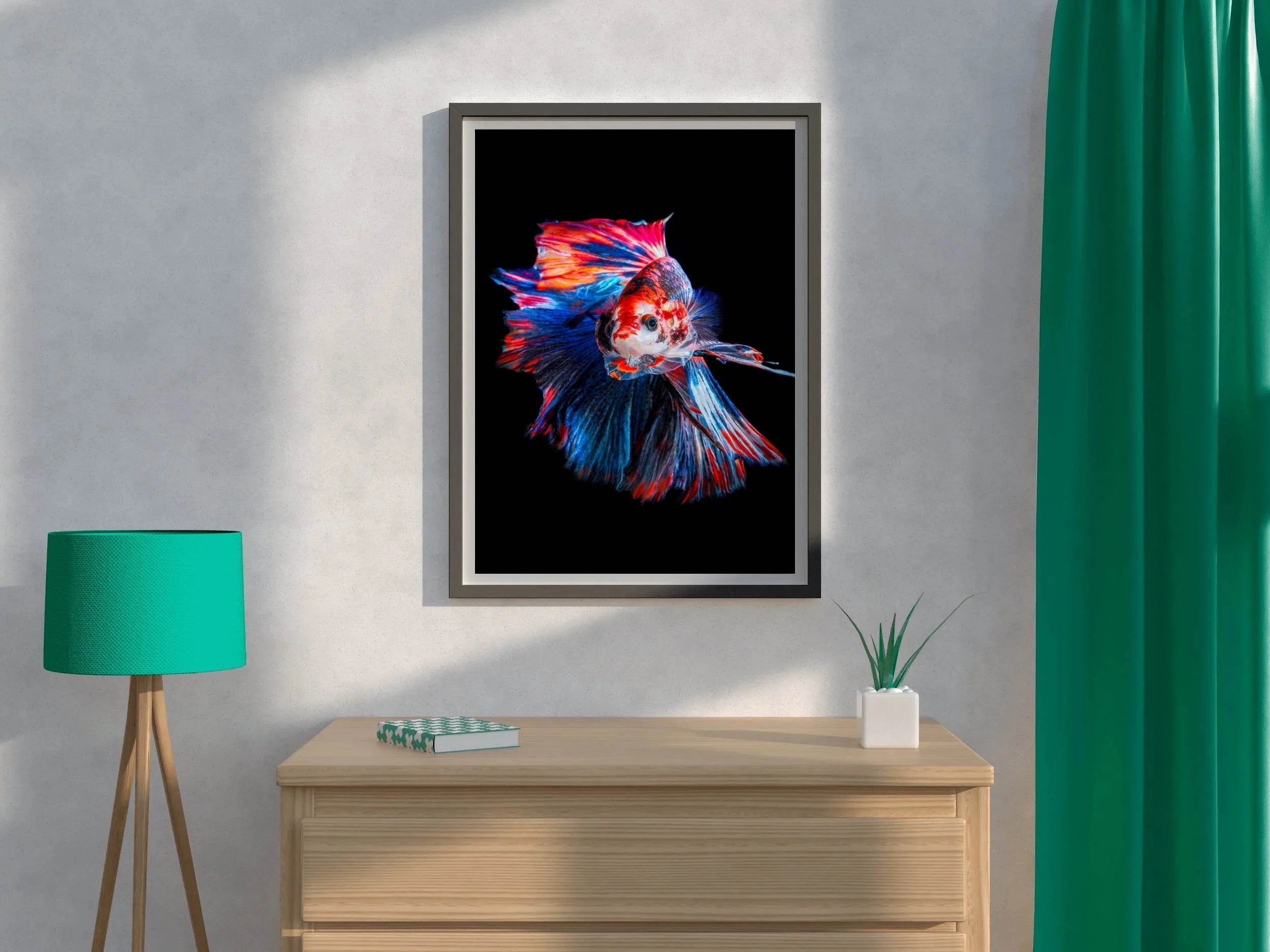 Siamese Fighting Fish Wall Art - beink online art store