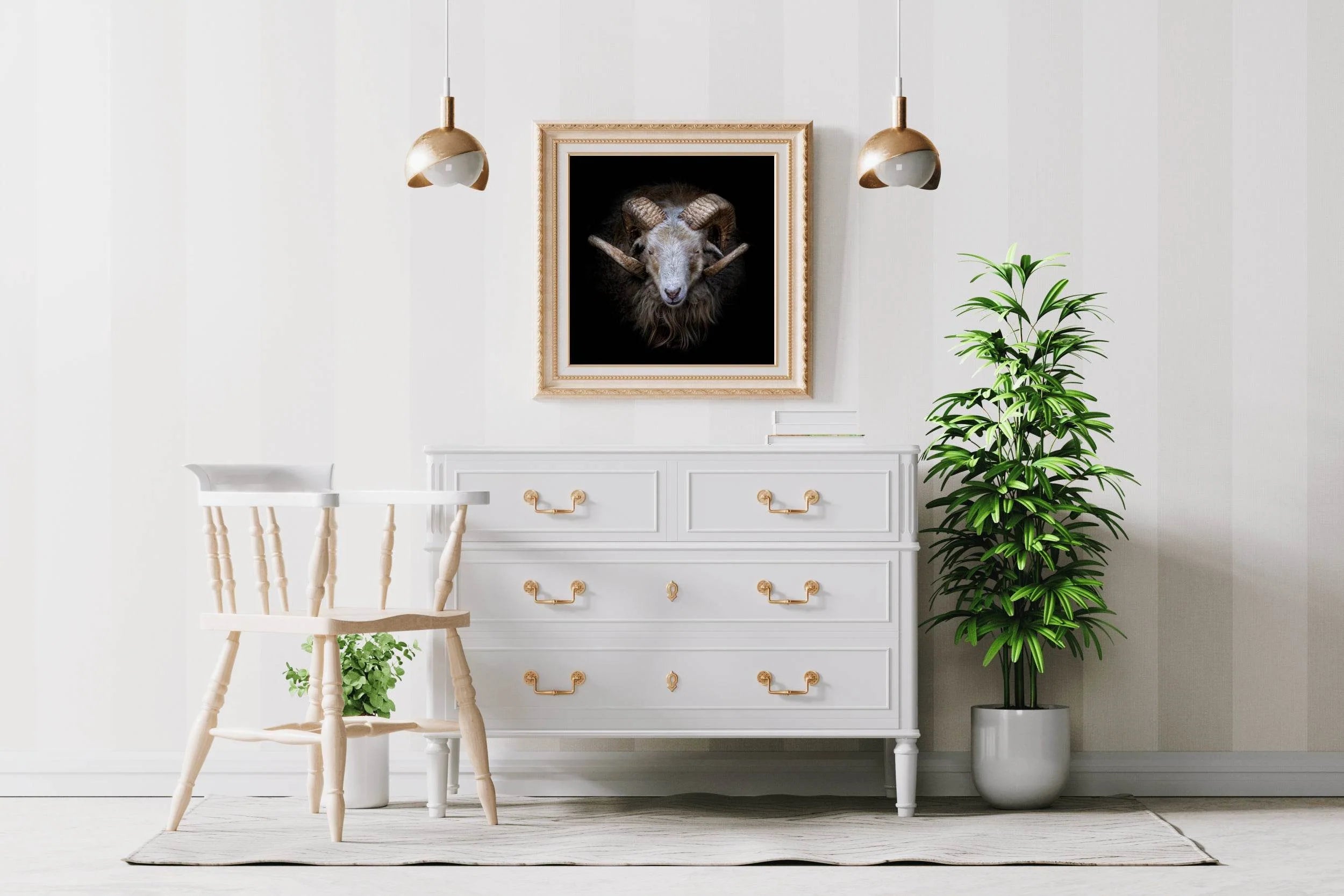 Skudde Domesticated Sheep From Estonia - beink online art store